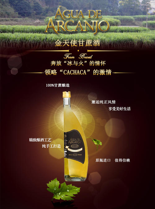 甘蔗酒怎么釀？甘蔗酒的釀制方法