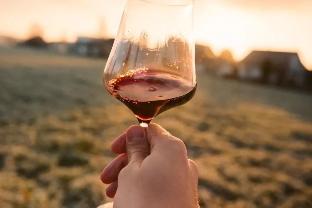 研究了12家葡萄酒企業(yè)2019年的年報后，我們發(fā)現(xiàn)了這些細節(jié)
