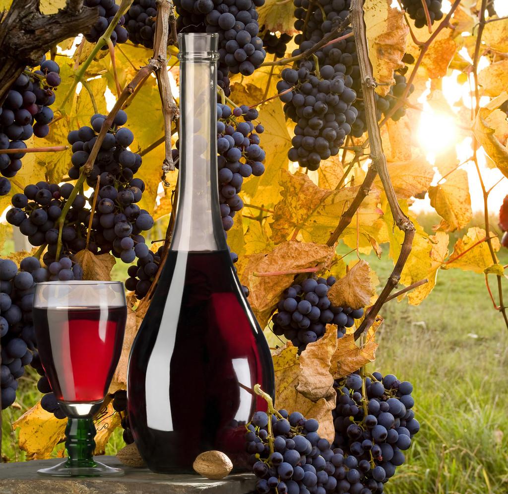 紅酒開(kāi)瓶后能放多久？紅酒的保質(zhì)期大概是多久？