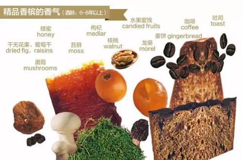 香檳如何聞香？香檳有哪些香氣？