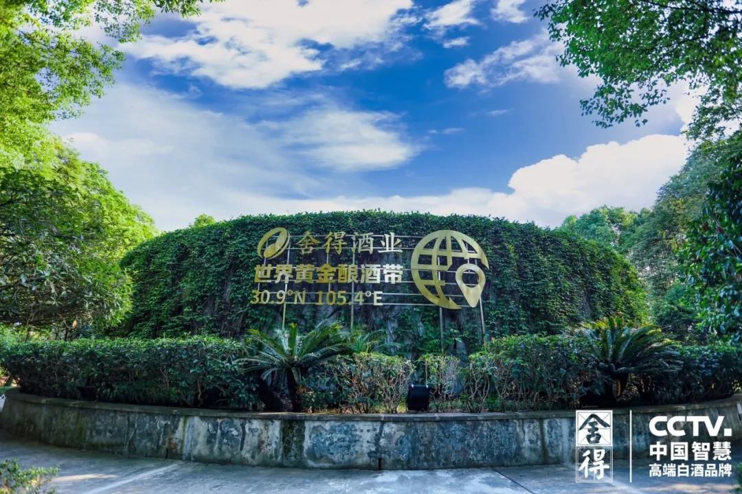 要成就更好的舍得，為什么一定是老酒？