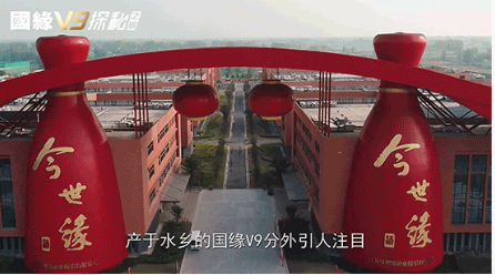 今世緣做了一款什么酒？