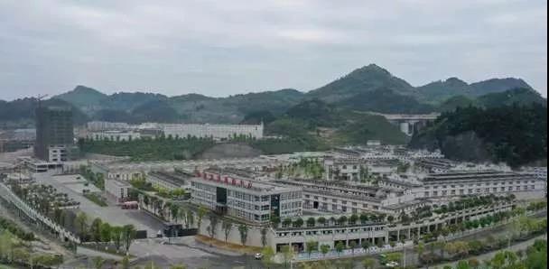 椰島“醬心”：5年50億，打造第2大醬酒基地
