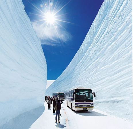 阿爾岱雪2011多少錢(阿爾岱雪紅酒市場(chǎng)價(jià))