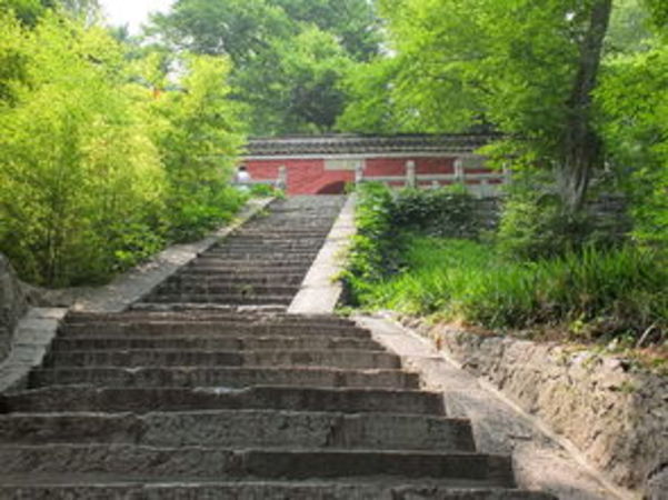 古道酒價(jià)格(古道風(fēng)酒價(jià)格)