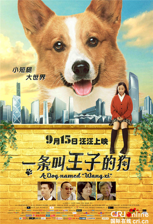 王子狗生肖多少錢(王子生肖狗價格)