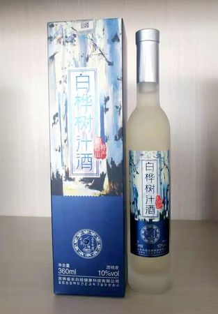 白樺樹(shù)為什么有酒(白樺樹(shù)汁酒)