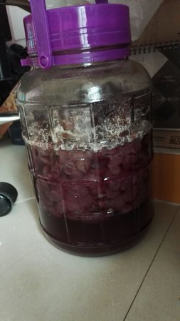 自家釀的葡萄酒有點(diǎn)酸還能喝嗎(自己釀的葡萄酒有點(diǎn)酸還能喝嗎)