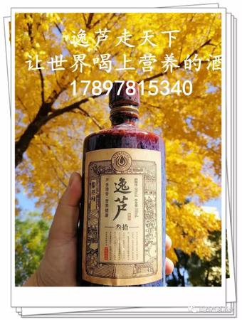 蘆河王20年50度多少錢(qián)(蘆河王酒50度多少錢(qián)一瓶)