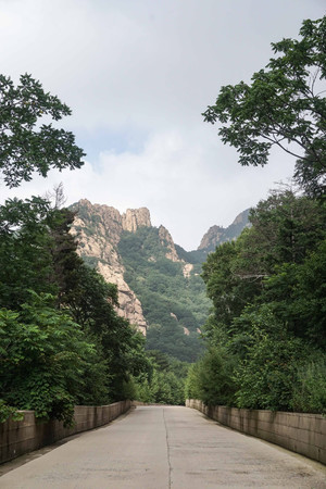 秦皇島祖山老酒怎么樣(秦皇島祖山老酒多少錢(qián))