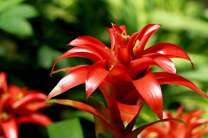 沂蒙山鴻運當(dāng)頭價格(沂蒙山鴻運當(dāng)頭酒價格)