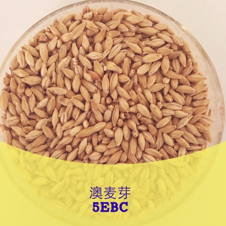 什么啤酒麥芽度高(哪種啤酒麥芽度高)