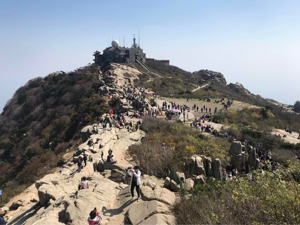 泰山龍?zhí)厍鷥r格(泰山特曲價格表)