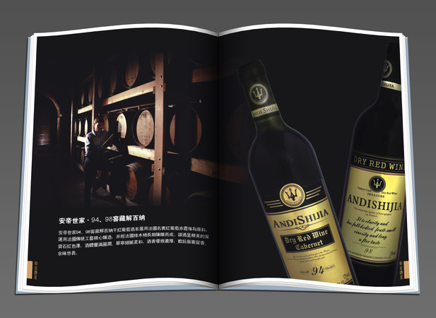 洋酒的書本(關于洋酒的書籍)