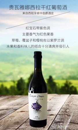 紅葡萄酒的美句(關于紅葡萄酒的美句)